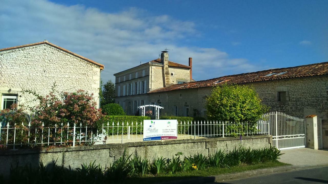 Les Gites Du Vigneron Et Cd'H Saint-Seurin-de-Palenne Esterno foto
